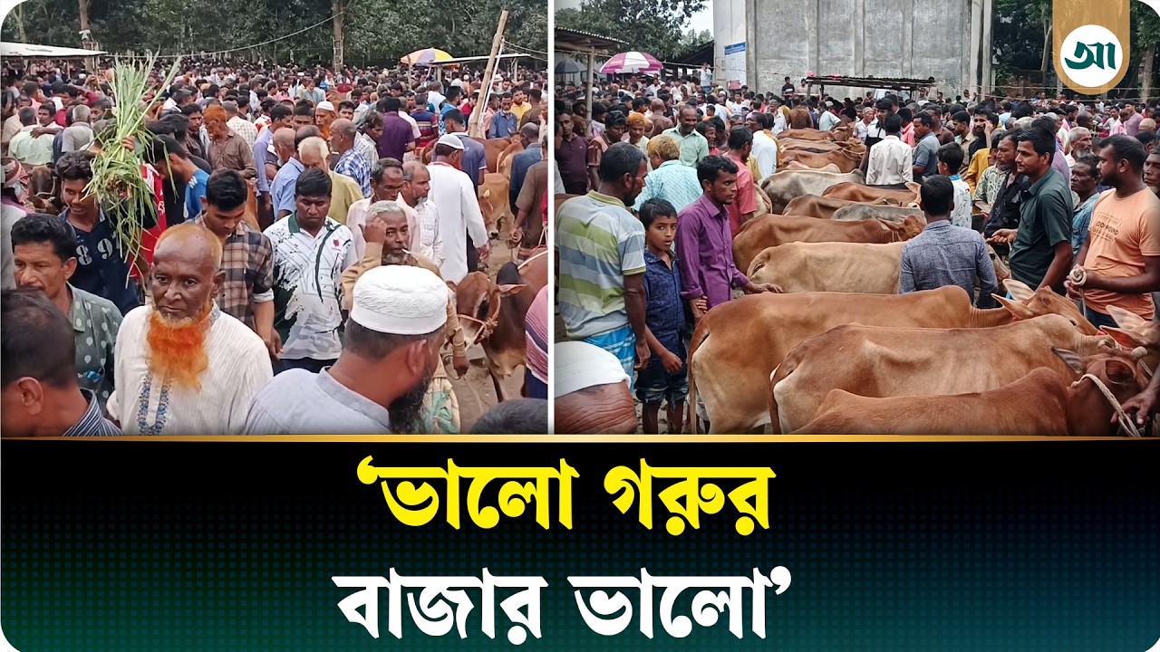 শেষ মুহূর্তে জমে উঠেছে পশুর হাট, স্বস্তিতে খামারিরা