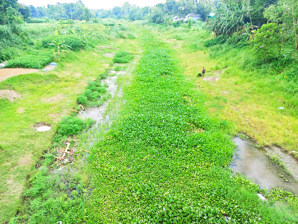 সাটুরিয়ার গাজীখালী: খননেও মেলেনি নদীর সুফল