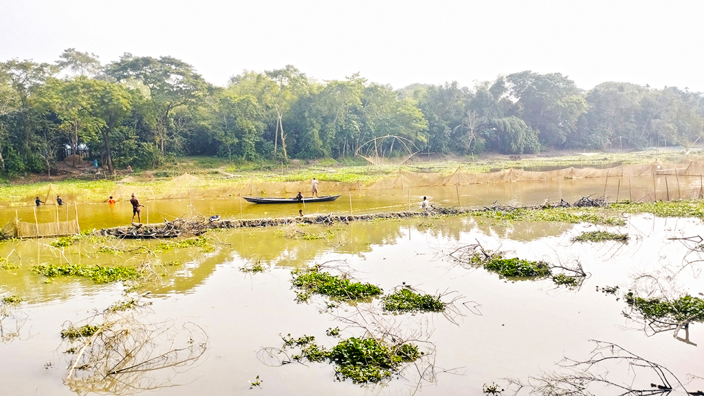 সুখাইজুড়ি নদী দখল, ঘের করে ‘ইজারা’