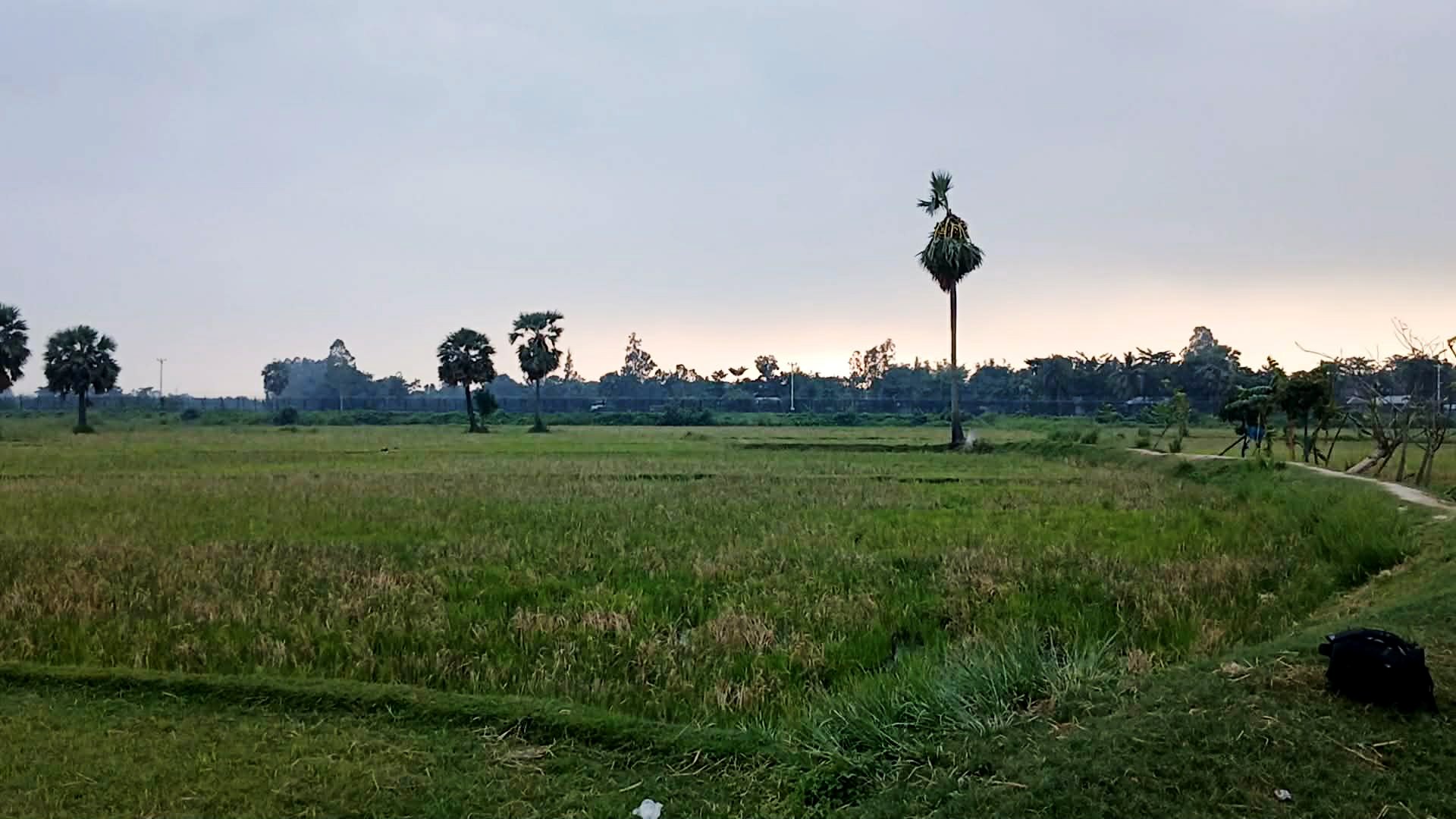 নওগাঁ সীমান্তে ৯ জনকে পুশ ইনের চেষ্টা ব্যর্থ, পরে ফিরিয়ে নেয় বিএসএফ