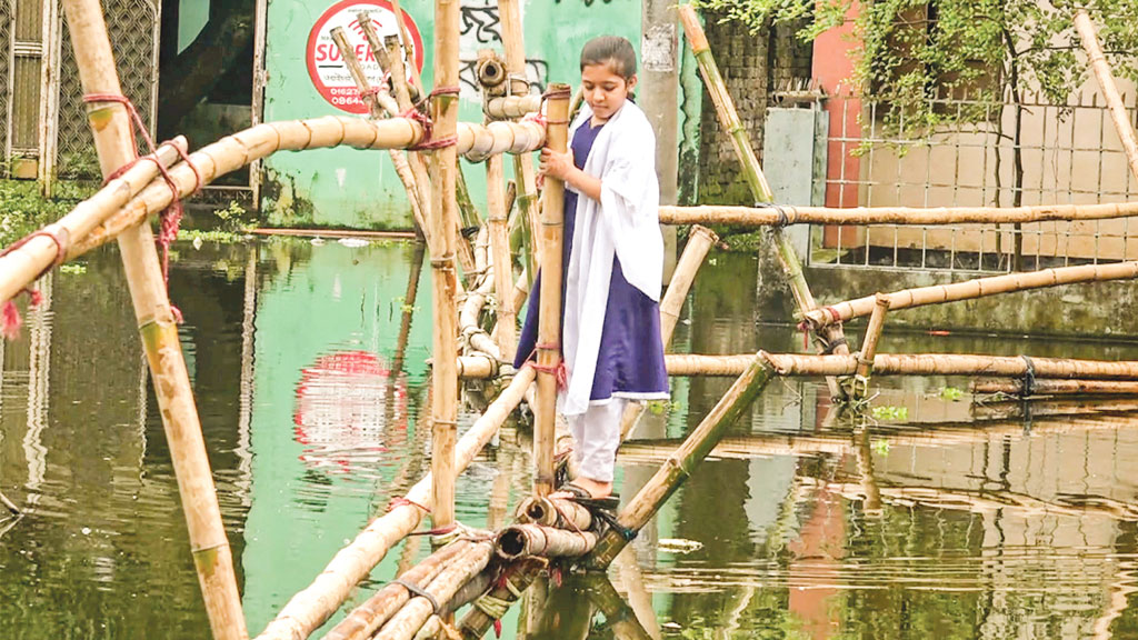 ঝুঁকি নিয়ে বাঁশের সাঁকো পার হচ্ছে এক শিক্ষার্থী। সম্প্রতি বেগমগঞ্জে।