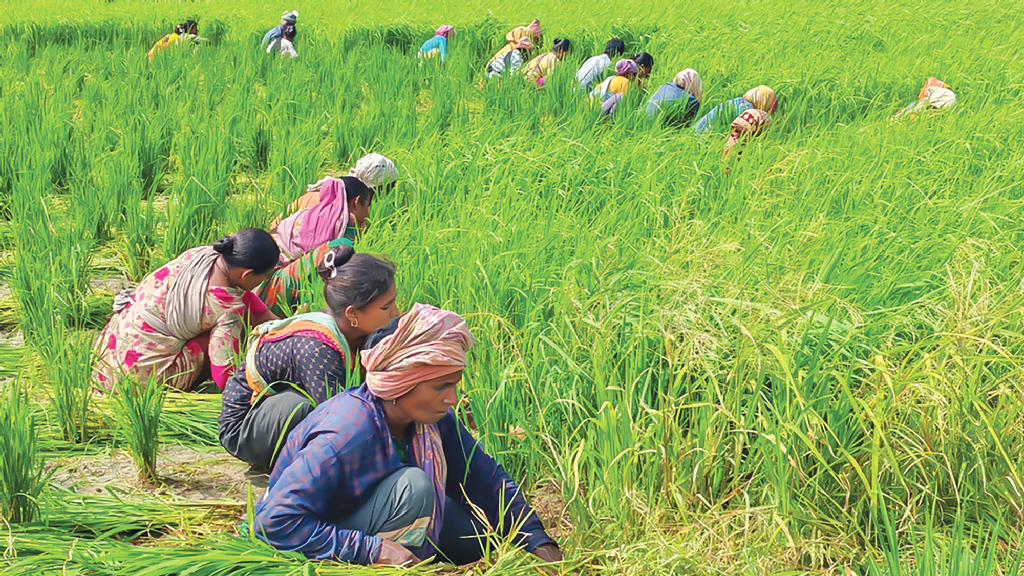 প্রকৃতি রক্ষা ও সম-অধিকারের লড়াইয়ে গ্রামীণ নারী