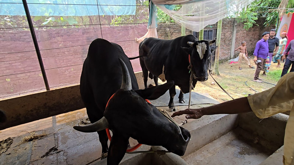 নরসিংদীতে আলোচনায় ‘মানিক-রতন’