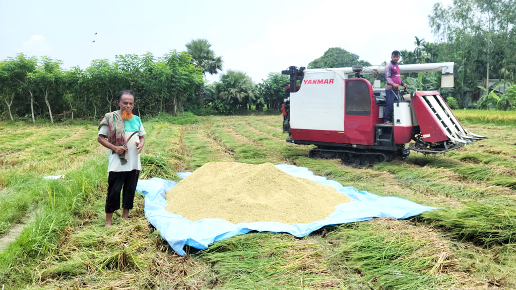‘সিদা ৫৫৫’ জাতের ধান চাষ করে পেলেন স্মার্ট কৃষকের পরিচিতি