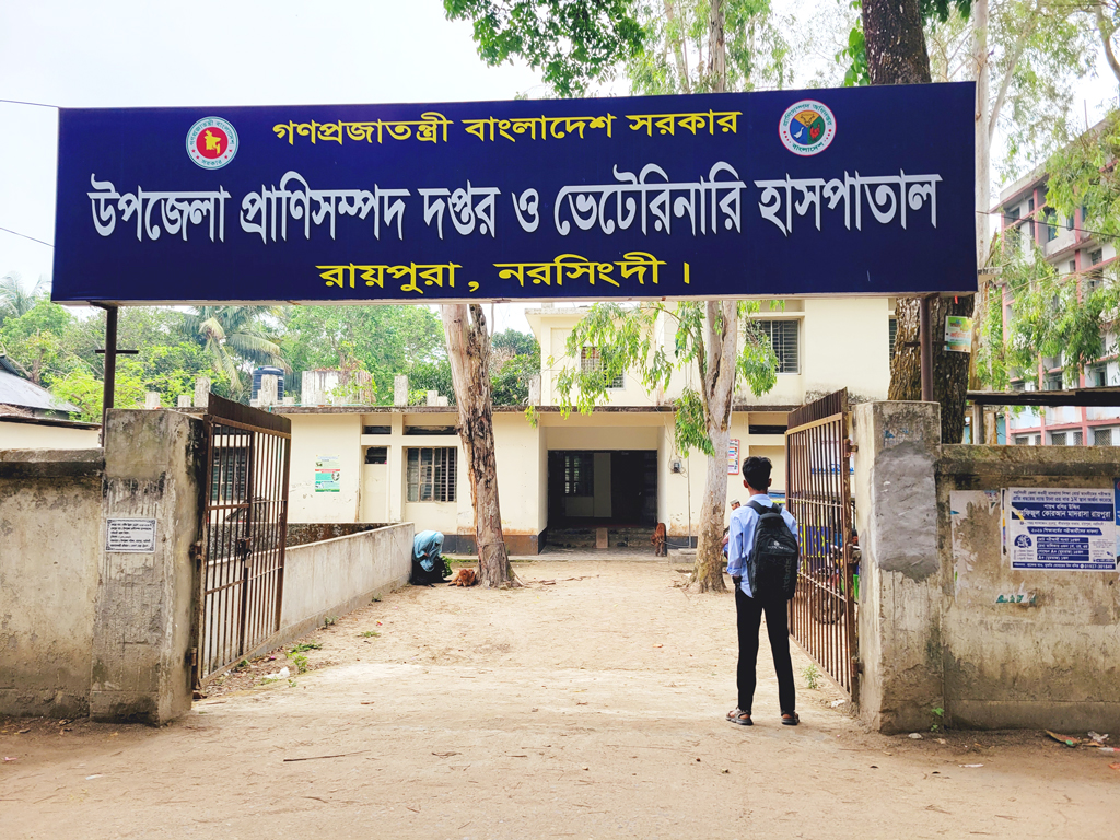 নরসিংদীতে অজ্ঞাত রোগে শতাধিক ছাগলের মৃত্যু, ক্ষতিগ্রস্ত খামারিরা