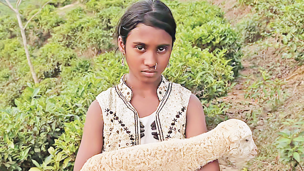 যুক্তরাষ্ট্রে অ্যাওয়ার্ড জিতল ‘নিশি’
