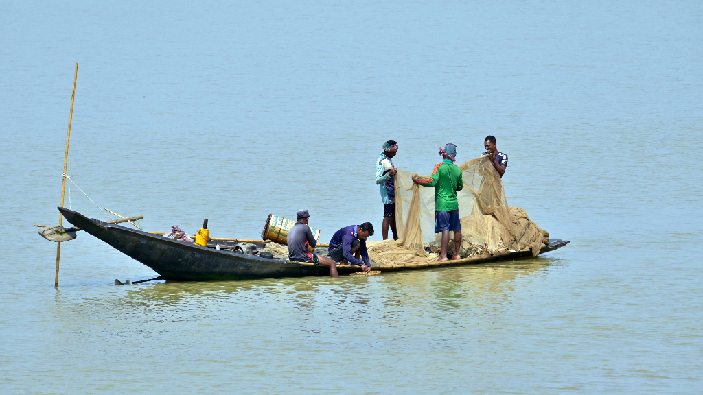 মৎস্য প্রজনন মৌসুমে হাওরে মাছ ধরায় নিষেধাজ্ঞা মানছেন না জেলেরা