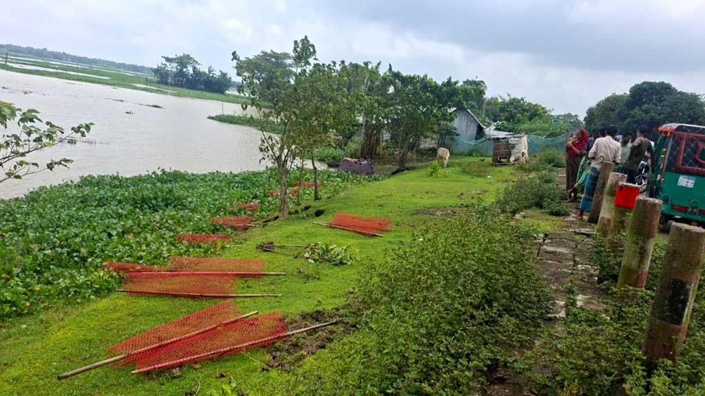 ডেপুটি স্পিকারের উদ্যোগে রোপণ করা গাছের চারা উপড়ে ফেলার অভিযোগ দুর্বৃত্তদের বিরুদ্ধে