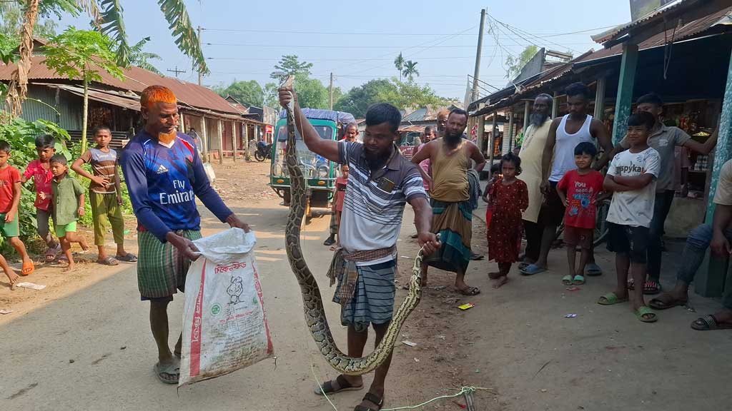 মাছ ধরার জালে আটকা ১০ ফুট লম্বা অজগর, উদ্ধার করে বনে অবমুক্ত