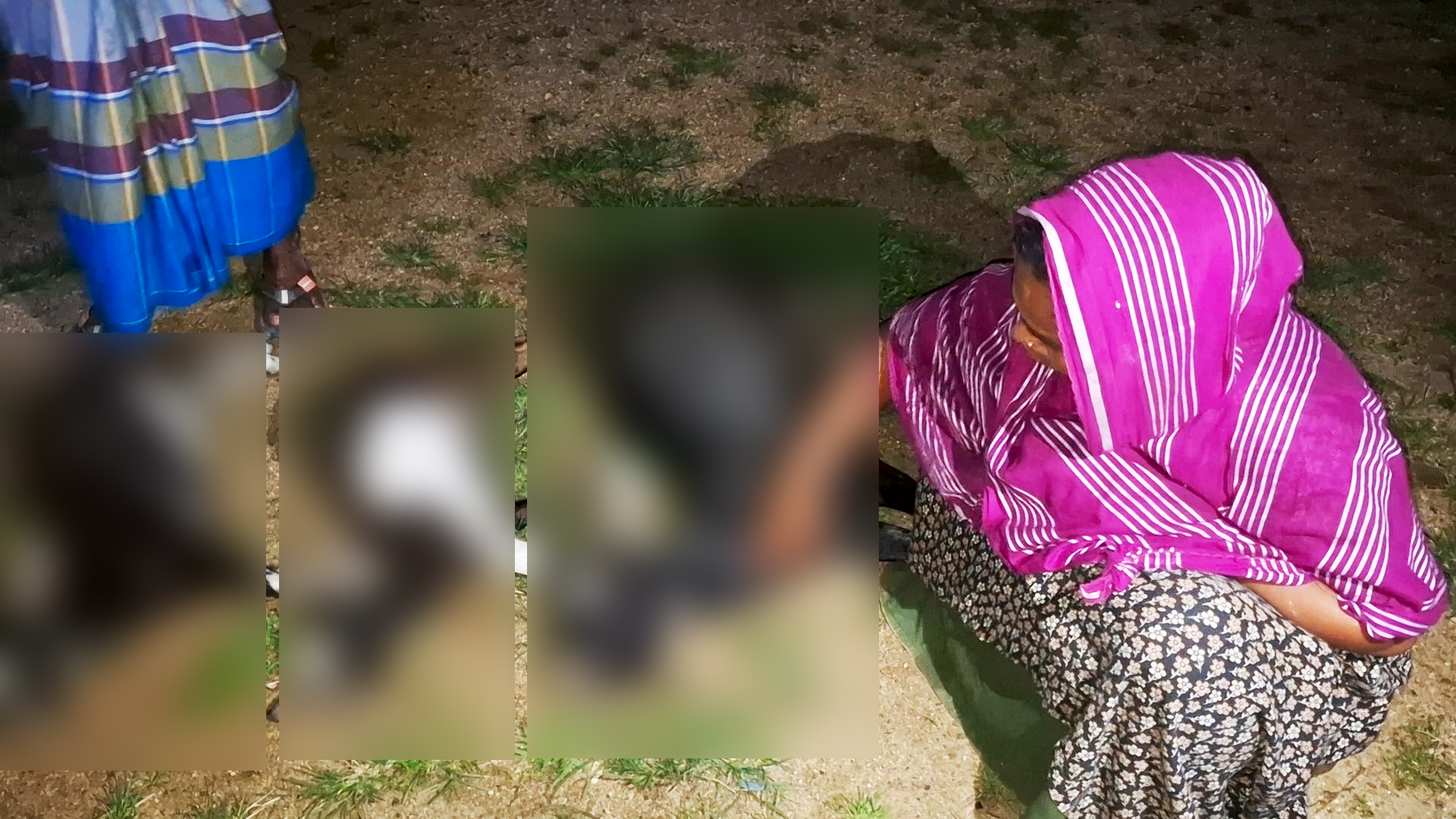 সুপারিবাগানে ঢোকায় তিন ছাগল পিটিয়ে হত্যার অভিযোগ, মৃত ছাগল নিয়ে থানায় মালিক