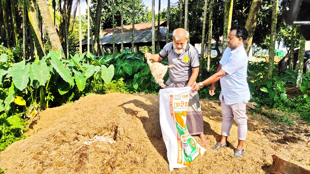 লোডশেডিং, গরমে মরছে মুরগি