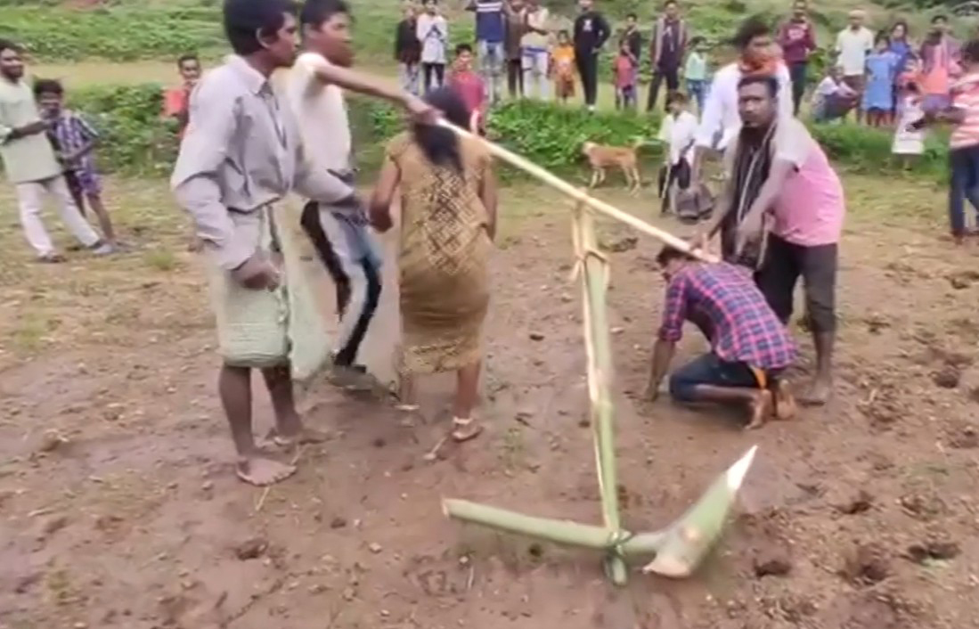 ‘প্রেমের শাস্তি’ হিসেবে দম্পতিকে গরুর জোয়ালে বেঁধে হালচাষ