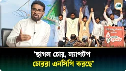 নাসীরুদ্দীন পাটওয়ারী ছাগল চুরি করেছিলেন অন্তর্বর্তীকালীন সরকারের সময়: রাশেদ খান