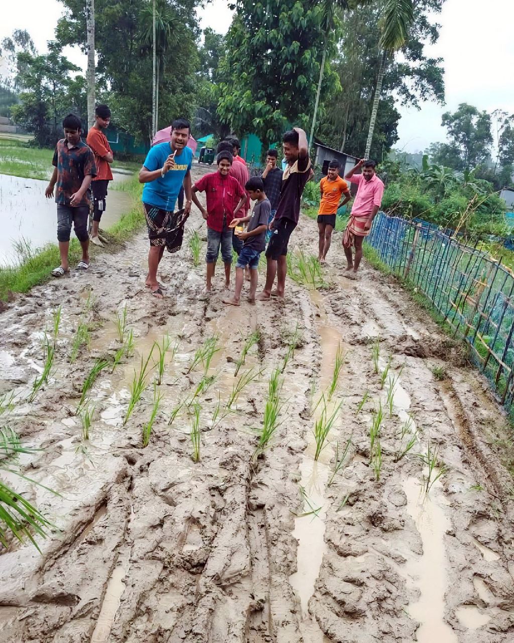 কাদায় ডোবা সড়কে ধানের চারা রোপণ করে প্রতিবাদ