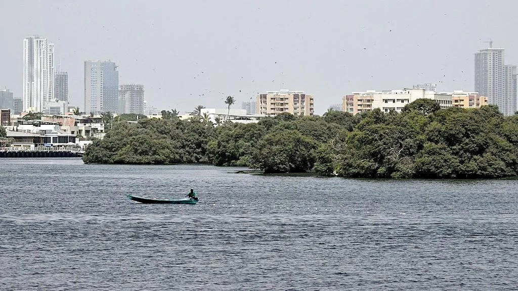 পাকিস্তানে ৫ আরোহীসহ কার্গো বিমান নিখোঁজ, চলছে তল্লাশি