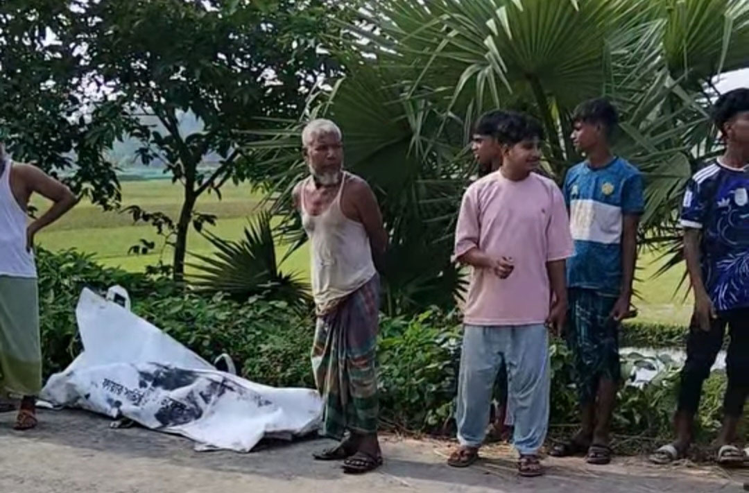 পলাশবাড়ীতে যাত্রীবাহী বাস খাদে পড়ে নারী নিহত, আহত ১০