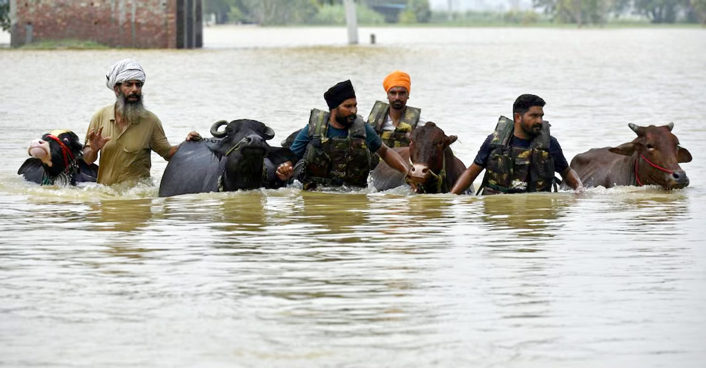টানা ভারী বৃষ্টিতে ভারতের পাঞ্জাবে রেড অ্যালার্ট জারি, সব শিক্ষাপ্রতিষ্ঠান বন্ধ ঘোষণা