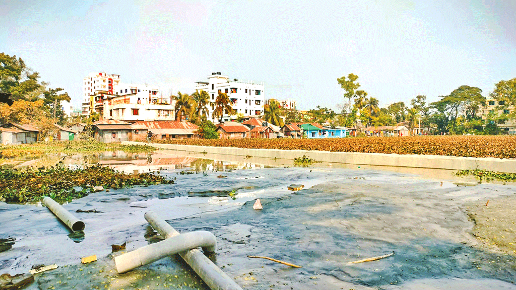 বরিশালের লালার দীঘি: পাড় দখল করে হাউজিং প্রকল্প
