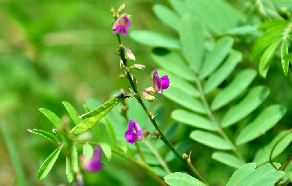 দিনের ছবি (৩০ মে, ২০২৫)