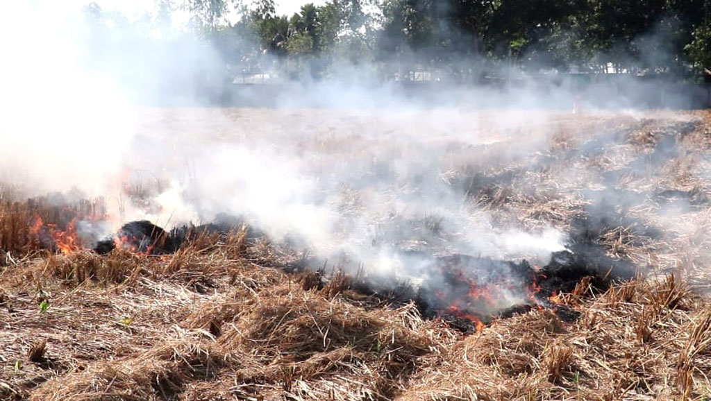 ‘ভাগ-বাঁটোয়ারা না মেলায়’ পুড়িয়ে ফেলা হলো লাখ লাখ টাকার খড়