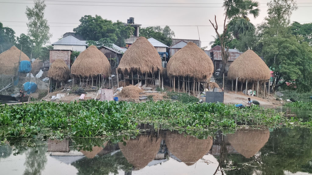 দিনের ছবি (১৪ জুন, ২০২৫)