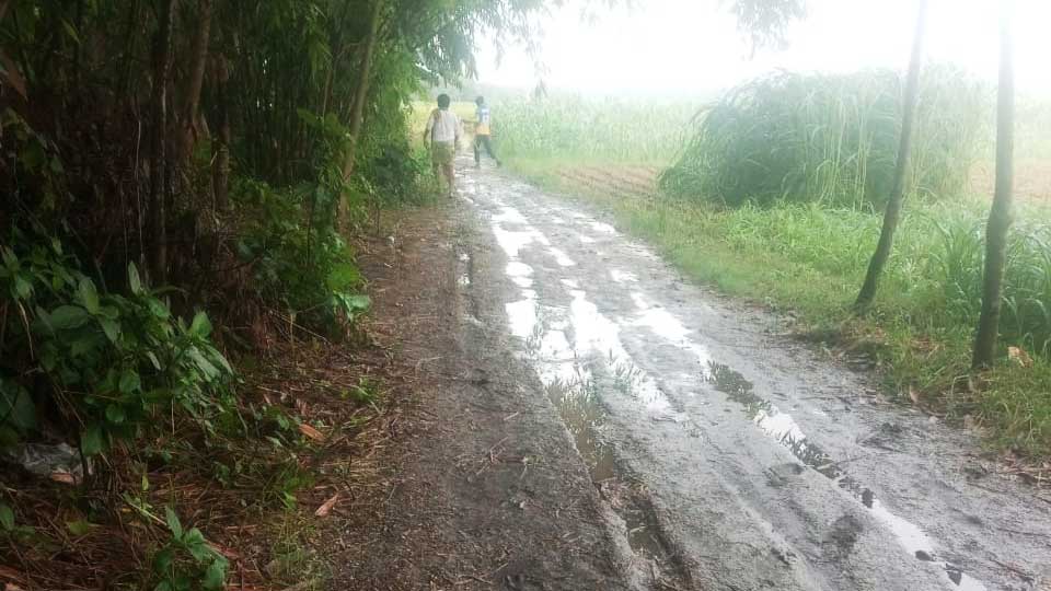 বেহাল সড়কে ভোগান্তি