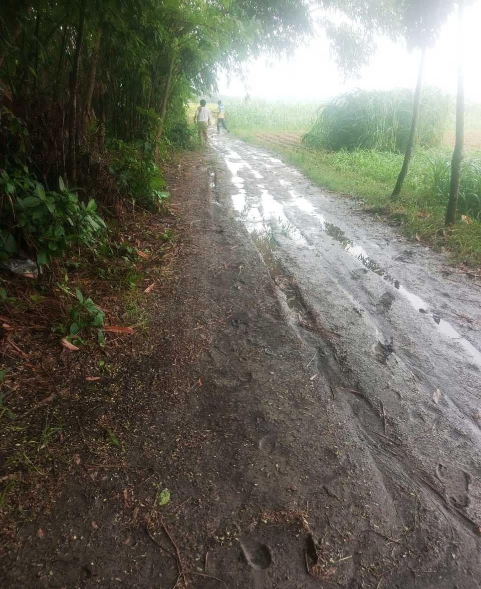 সাঁথিয়া পৌরসভার ৫নং ওয়ার্ডের নতুন বাস টার্মিনাল থেকে আলাউদ্দিনের জমি পর্যন্ত সরকারি রাস্তাটি বেহাল। ছবি: আজকের পত্রিকা