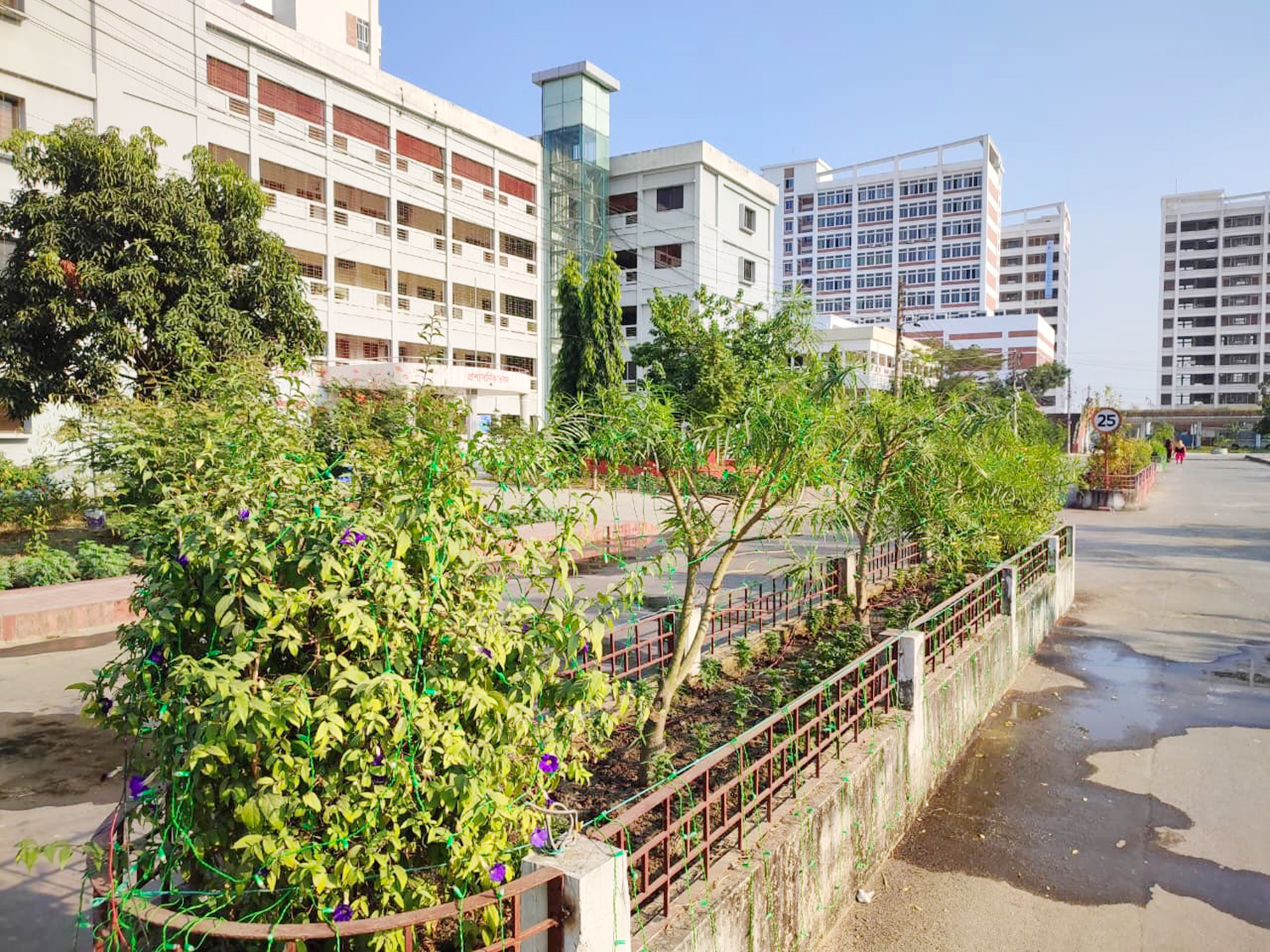 বৃক্ষরোপণে বদলে যাচ্ছে পাবনা বিজ্ঞান ও প্রযুক্তি বিশ্ববিদ্যালয়