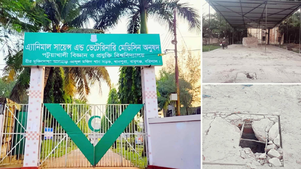 পবিপ্রবি: নবনির্মিত শেডে উদ্বোধনের আগেই ফাটল, কাজের মান নিয়ে প্রশ্ন