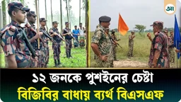 সীমান্তে আবারও ১২ জনকে পুশ ইনের চেষ্টা, রুখে দিল বিজিবি