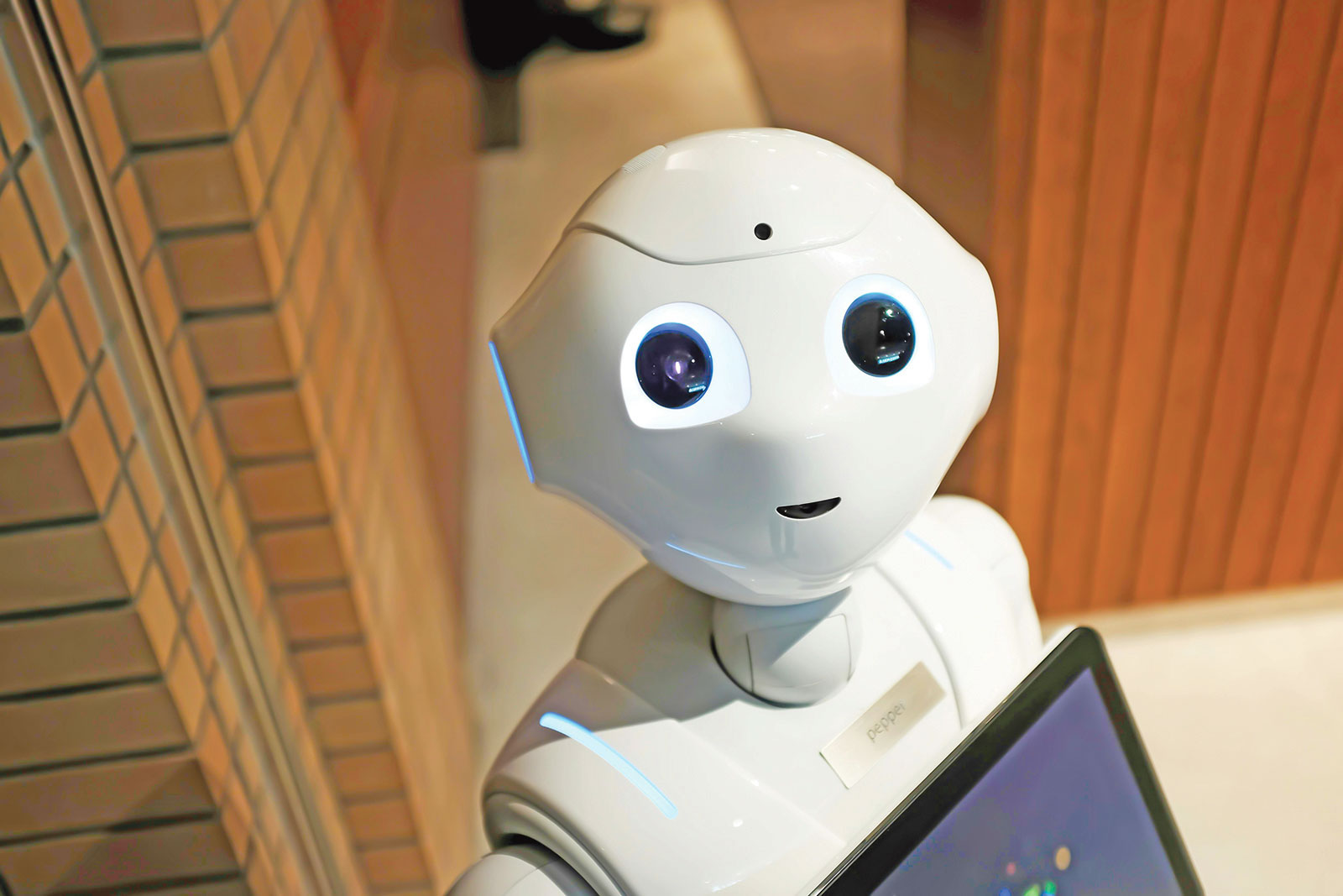 হিউম্যানয়েড রোবটের বিশ্ববাজারে চীনের আধিপত্য