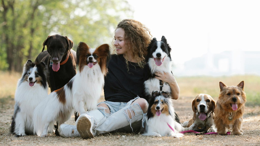কীভাবে বুঝবেন, আপনার পোষা কুকুর আপনাকে ভালোবাসে