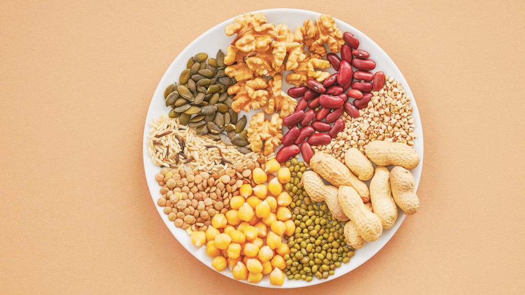 সেকেন্ড ক্লাস প্রোটিন কোথায় পাবেন