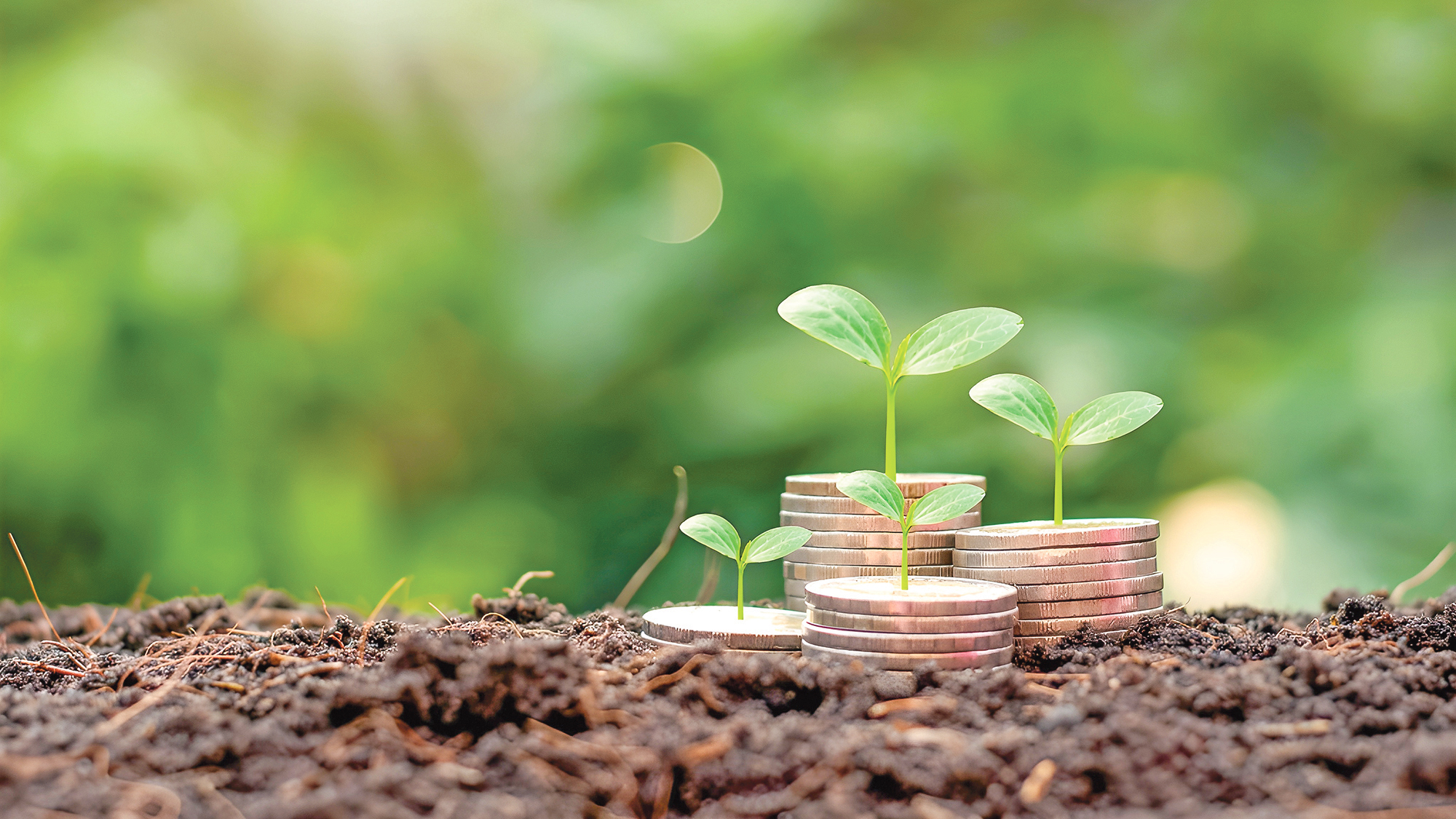 রাসুল (সা.) যেভাবে জাকাত বণ্টন করতেন