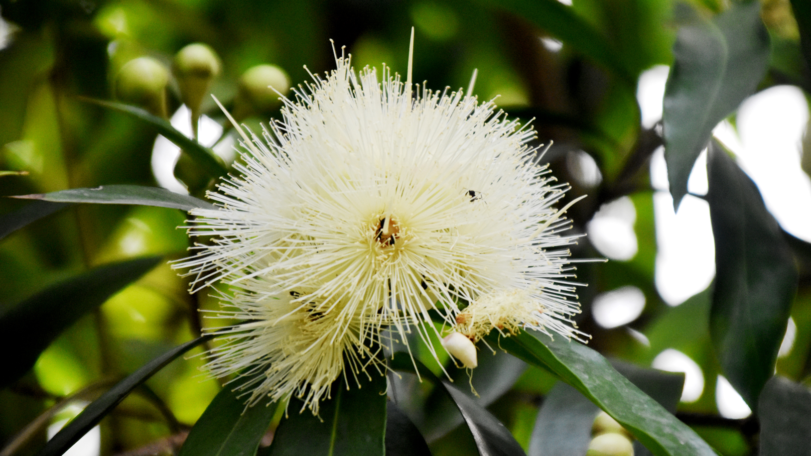দিনের ছবি (৬ এপ্রিল, ২০২৬)