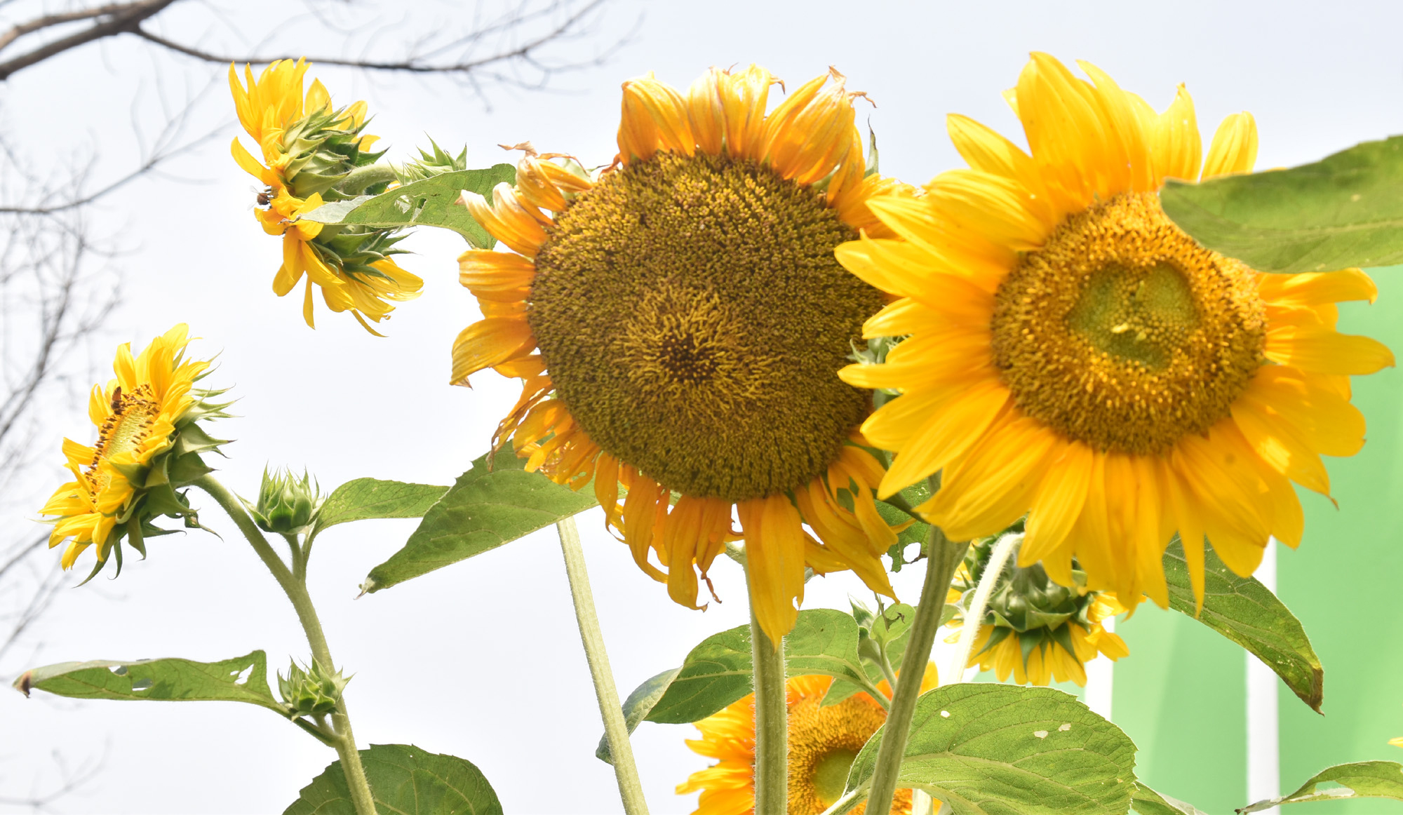 দিনের ছবি (১৯ মার্চ, ২০২৬)