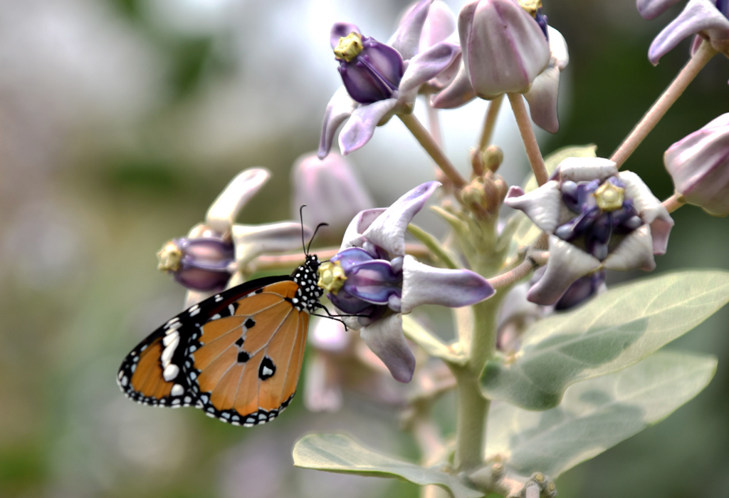 দিনের ছবি (৩০ মার্চ, ২০২৬)