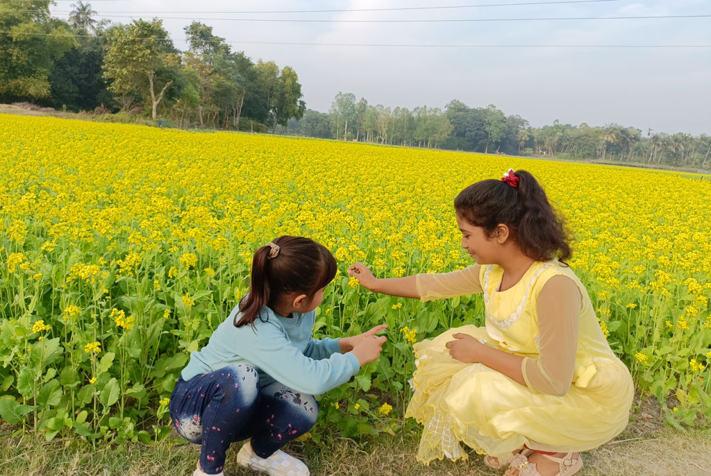 কুয়াশার আড়মোড়া ভেঙে উঁকি দেয় শীতের সকাল। ঝলমলে রোদেরা খেলা করে দিগন্ত বিস্তৃত সরিষার ফুলে। যেদিকেই চোখ যায়, মাঠে মাঠে শোভা পাচ্ছে হলুদ আর হলুদ। যেন হলুদ এক নদী একে-বেঁকে বয়ে চলেছে। প্রকৃতির নির্মল বাতাসে ভেসে বেড়ায় সরিষা ফুলের মাতাল করা ঘ্রাণ। মধু আহরণে ছোটাছুটি মৌমাছিদের। ঢাকা-আরিচা মহাসড়ক ঘেঁষে ঘিওর উপজেলার রাথুরা গ্রামের ফসলের মাঠে সরিষার খেত, মানিকগঞ্জ, ২১ ডিসেম্বর ২০২৪। ছবি: মো. আব্দুর রাজ্জাক