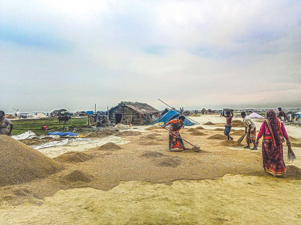সুনামগঞ্জের হাওরাঞ্চল: কম দামেও ক্রেতা নেই, ধান নিয়ে কষ্টে কৃষক