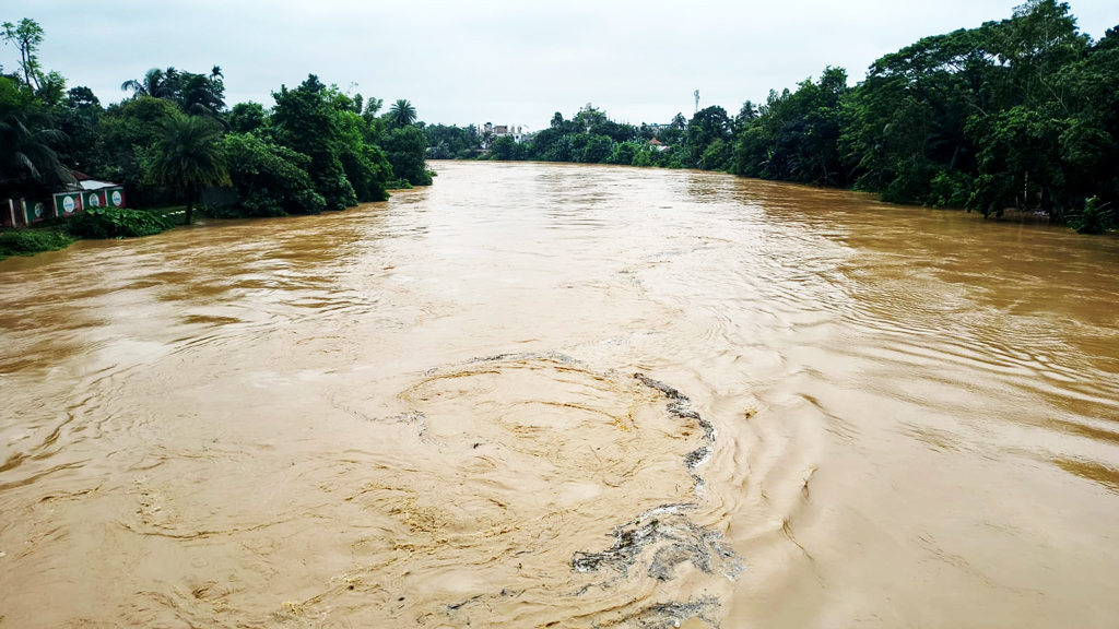 পাহাড়ি ঢল ও টানা বৃষ্টিতে আবারও বাড়ল শেরপুরের নদ-নদীর পানি, নিম্নাঞ্চল প্লাবিত