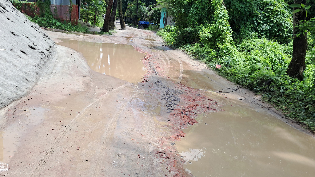 গর্তে ভরা ৩ কিলোমিটার পথ, ভোগান্তি চরমে