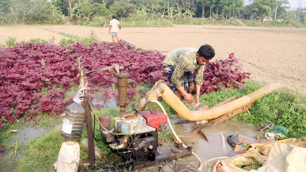 ফরিদপুরে দেড় শ টাকায়ও মিলছে না ডিজেল, ফসল উৎপাদন হ্রাসের শঙ্কা