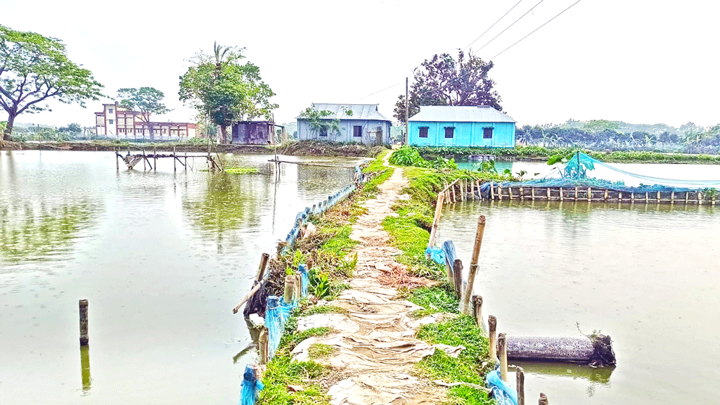 ময়মনসিংহের ত্রিশাল: ফিশারিতে বিলীন সড়ক কাজে আসছে না সেতু