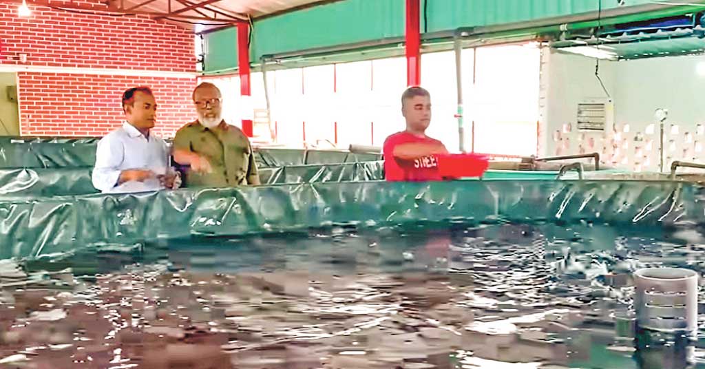 মাছ চাষে প্রযুক্তির ব্যবহার বাড়াতে হবে
