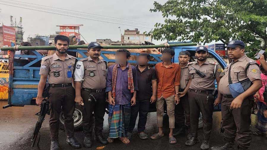 সার্জেন্টের তৎপরতায় ছিনতাই হওয়া গরু-ছাগলভর্তি পিকআপ উদ্ধার, আটক ৩