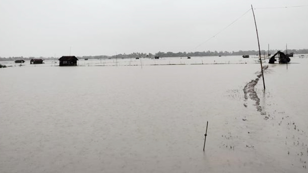 পাইকগাছায় ৪ হাজার পুকুর-ঘের প্লাবিত, ফসলের ব্যাপক ক্ষতি