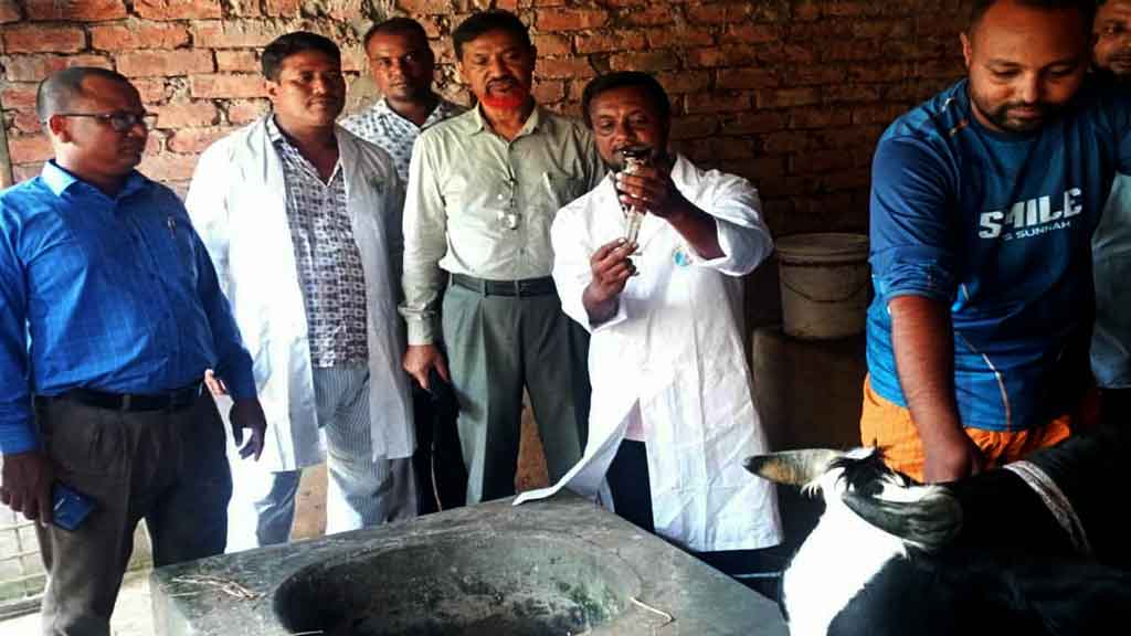 রংপুরের পীরগাছায় অ্যানথ্রাক্সের উপসর্গ নিয়ে দুজনের মৃত্যু, আতঙ্ক