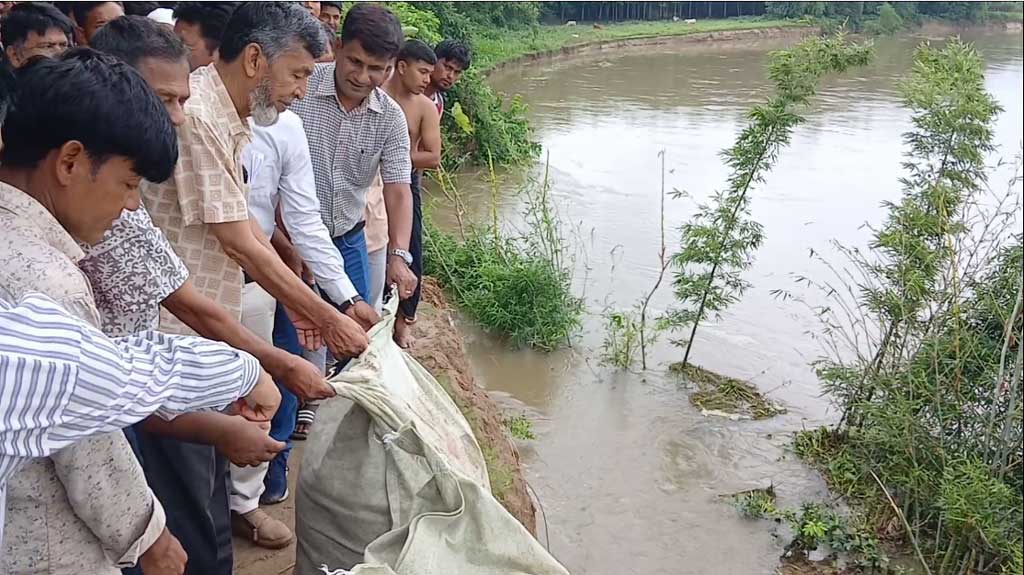 পীরগঞ্জে টাঙ্গন নদের ভাঙন রোধে জিও ব্যাগ ফেলা শুরু