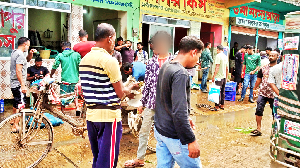 বাগেরহাটের ফকিরহাট: অবাধে পরিযায়ী পাখি বিক্রি