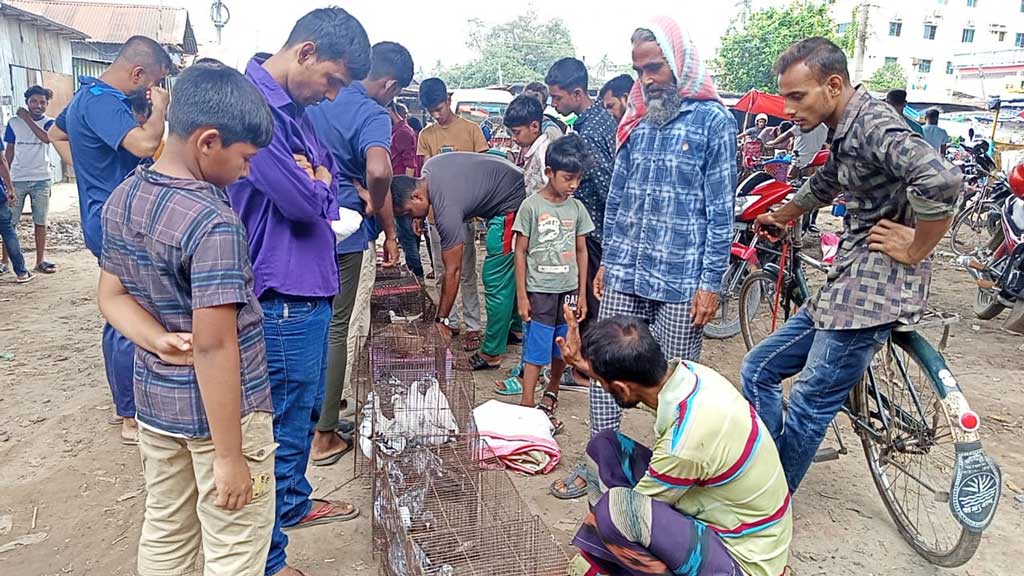 চুয়াডাঙ্গার পাখির হাটে ভারতের কাশুড়ি থেকে দেশি কালদম